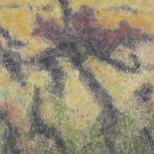 Brûlis - 50x50 - 2021