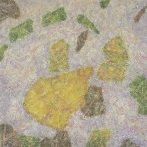 Iles imaginaires - 50x50 - 2021